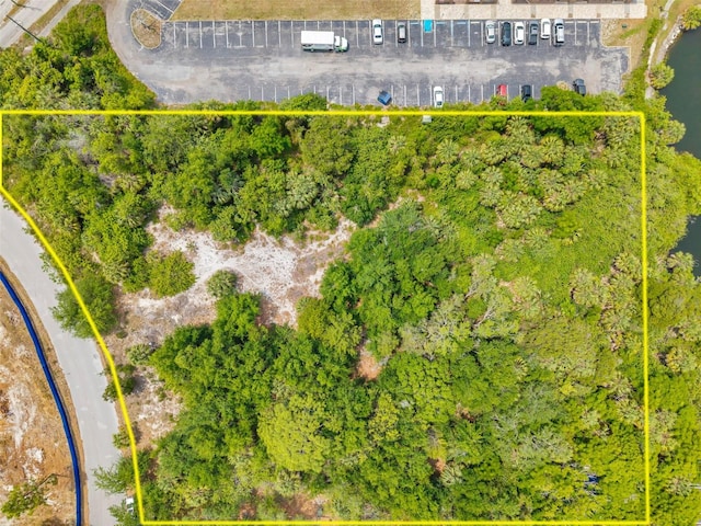 Lakeshore Blvd, Hudson, FL 34667