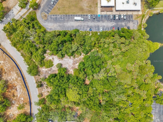 Lakeshore Blvd, Hudson, FL 34667