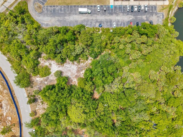 Lakeshore Blvd, Hudson, FL 34667