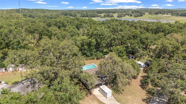 12412 Lakeview Dr, Dade City, FL 33525 - photo 35