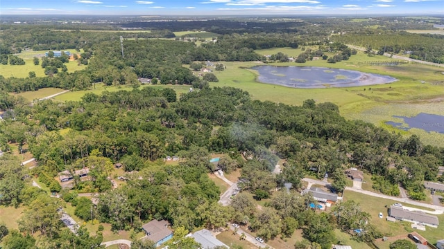 12412 Lakeview Dr, Dade City, FL 33525 - photo 37
