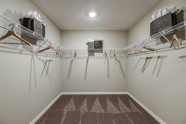 1217 Tidal St, Haines City, FL 33844 - spacious closet featuring carpet floors