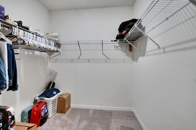 3628 Diving Dove Ln, Bartow, FL 33830 - spacious closet featuring carpet floors