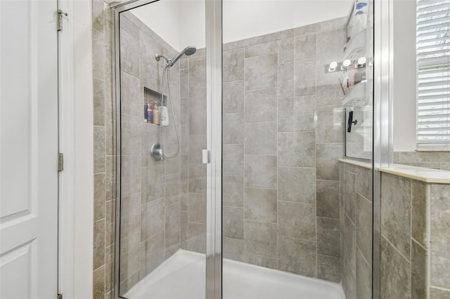 10512 Scenic Hollow Dr, Riverview, FL 33578 - full bath with a shower stall