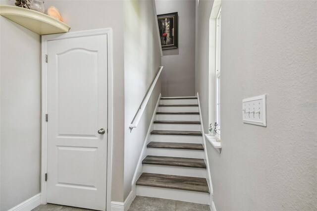 10512 Scenic Hollow Dr, Riverview, FL 33578 - stairs featuring baseboards
