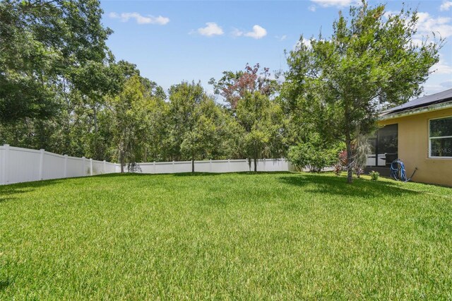 10512 Scenic Hollow Dr, Riverview, FL 33578 - view of yard