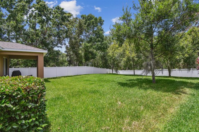 10512 Scenic Hollow Dr, Riverview, FL 33578 - view of yard