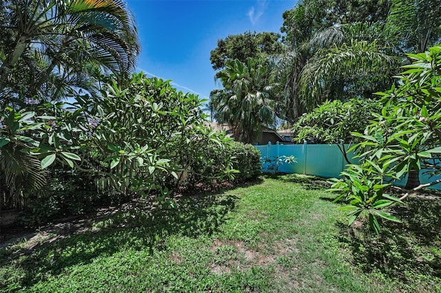 2459 Parkstream Ave, Clearwater, FL 33759 - view of yard