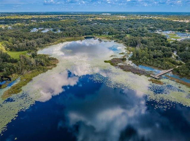2459 Parkstream Ave, Clearwater, FL 33759 - drone / aerial view of a nearby body of water and a heavily wooded area