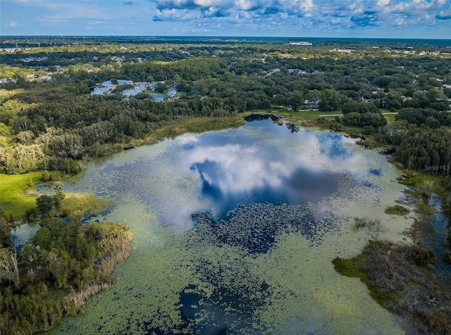 2459 Parkstream Ave, Clearwater, FL 33759 - bird's eye view of a heavily wooded area and a nearby body of water