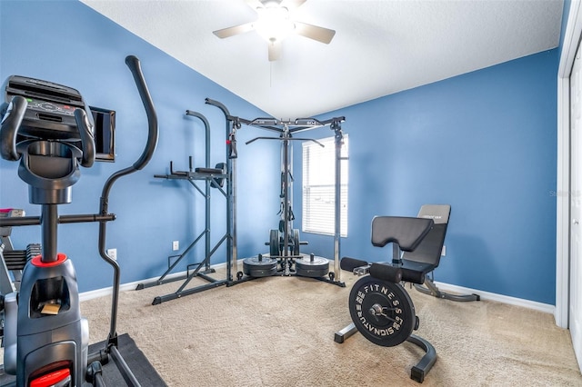 8814 N River Rd, Tampa, FL 33635 - workout room featuring a ceiling fan, carpet flooring, and baseboards