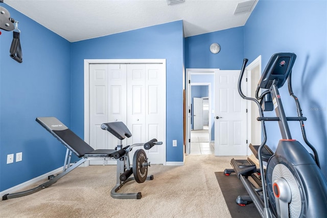 8814 N River Rd, Tampa, FL 33635 - exercise area featuring carpet and baseboards