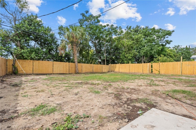 4841 Drift Tide Dr, New Port Richey, FL 34652 - view of yard