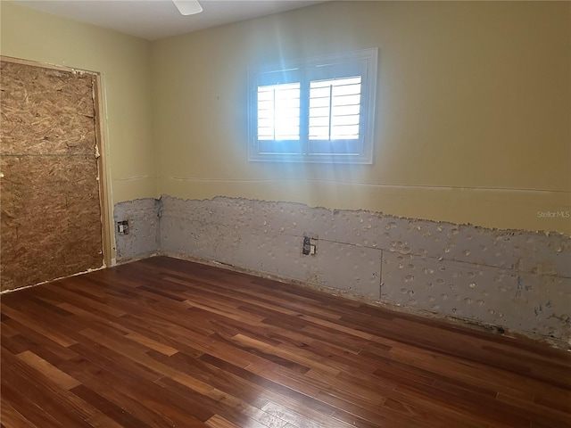3235 Walnut St NE, Saint Petersburg, FL 33704 - photo 14