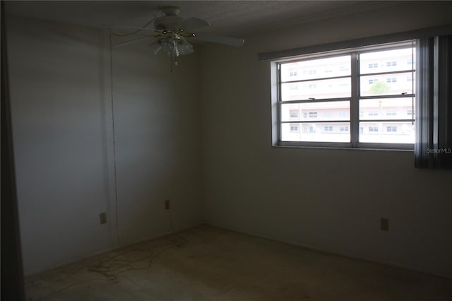 5705 80th St N Unit 207, Saint Petersburg, FL 33709 - photo 12