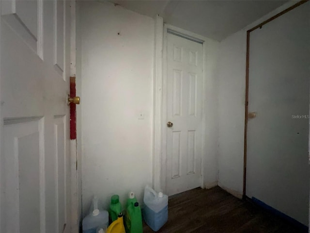 14210 Downing St, Dover, FL 33527 - hallway with dark wood finished floors