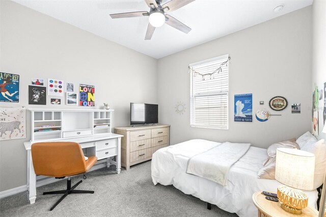 30762 Parrot Reef Ct, Wesley Chapel, FL 33545 - carpeted bedroom with a ceiling fan