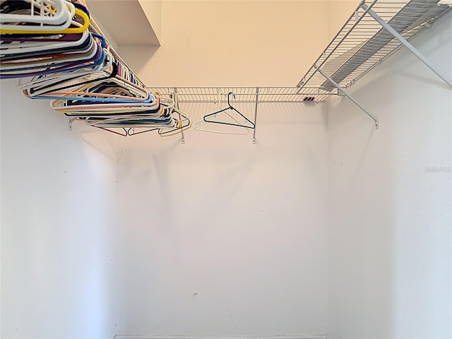 1332 Osceola Hollow Rd, Odessa, FL 33556 - view of walk in closet