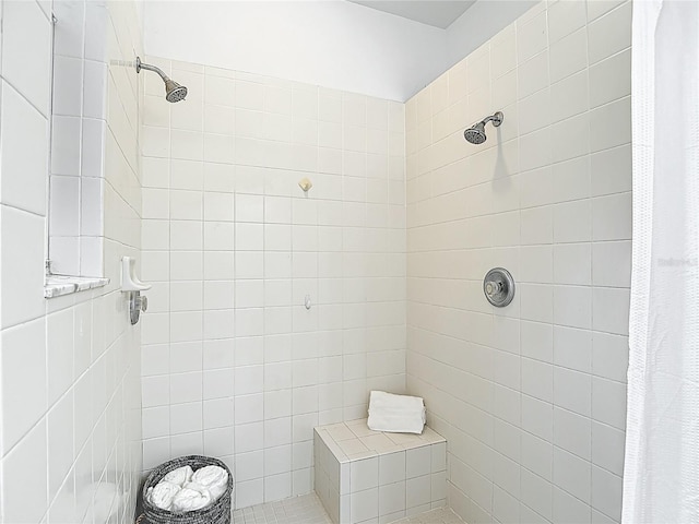 1332 Osceola Hollow Rd, Odessa, FL 33556 - full bathroom with a tile shower and tile walls
