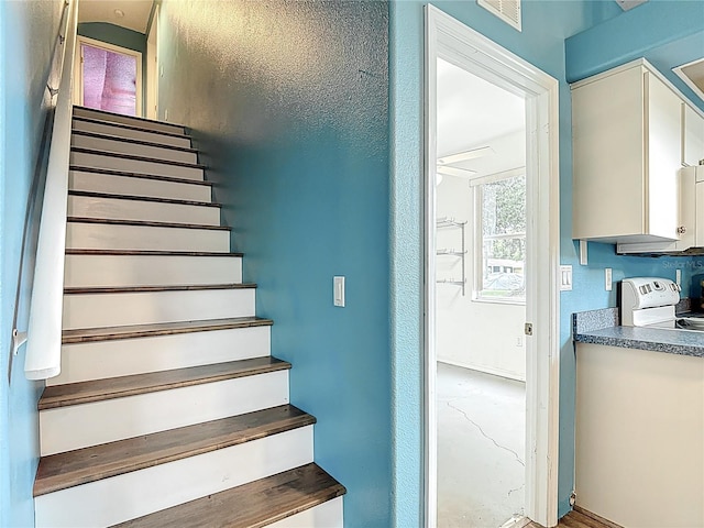 1332 Osceola Hollow Rd, Odessa, FL 33556 - view of stairs