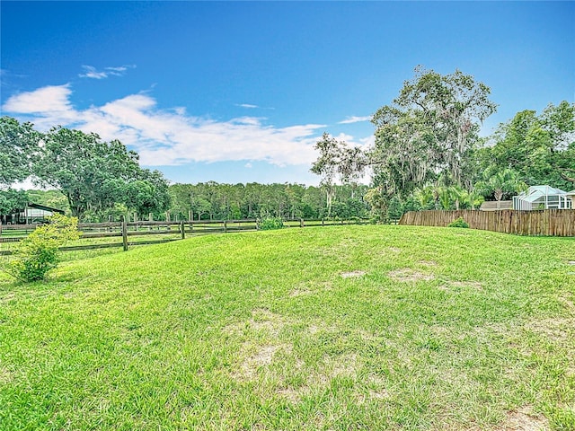 1332 Osceola Hollow Rd, Odessa, FL 33556 - view of yard