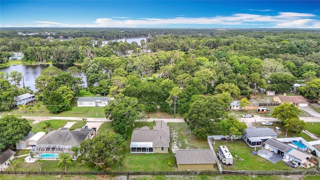 1332 Osceola Hollow Rd, Odessa, FL 33556 - bird's eye view of a forest, a large body of water, and a pool