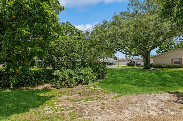 1535 Nursery Rd Unit 110, Clearwater, FL 33756 - photo 31