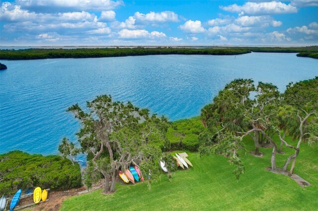 1111 N Bayshore Blvd Unit E10, Clearwater, FL 33759 - aerial view of a nearby body of water