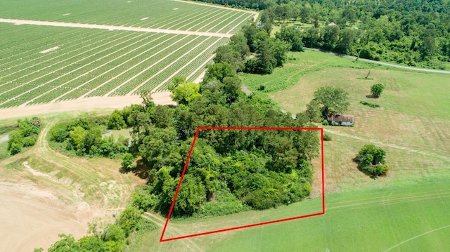 Tyler Sanders Rd, Quincy, FL 32352 - photo 1
