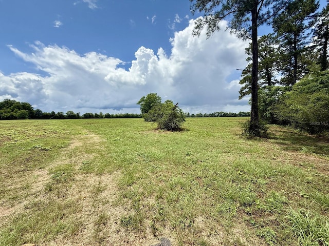Tyler Sanders Rd, Quincy, FL 32352 - photo 3