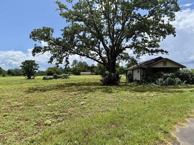 Tyler Sanders Rd, Quincy, FL 32352 - photo 4