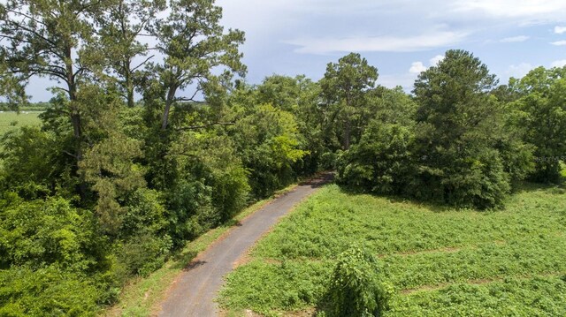 Tyler Sanders Rd, Quincy, FL 32352 - photo 5