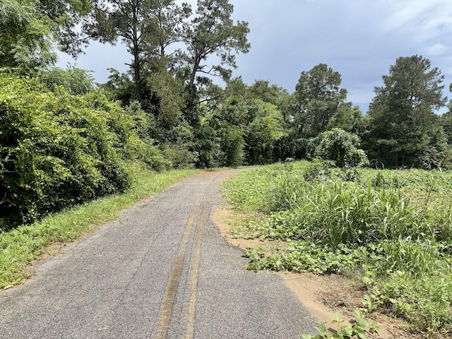 Tyler Sanders Rd, Quincy, FL 32352 - photo 7