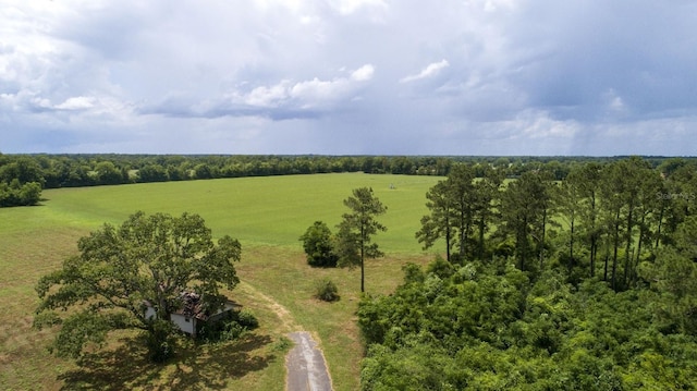 Tyler Sanders Rd, Quincy, FL 32352 - photo 9