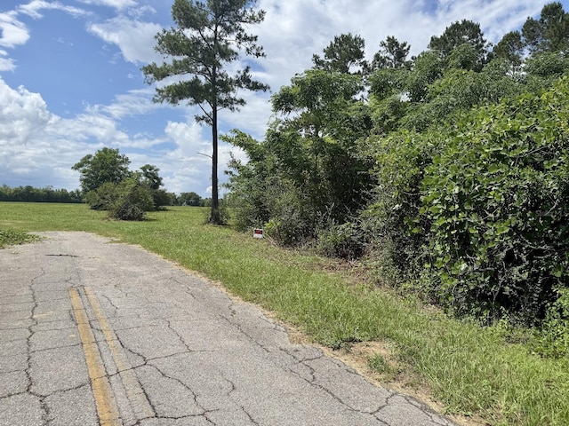 Tyler Sanders Rd, Quincy, FL 32352 - photo 12