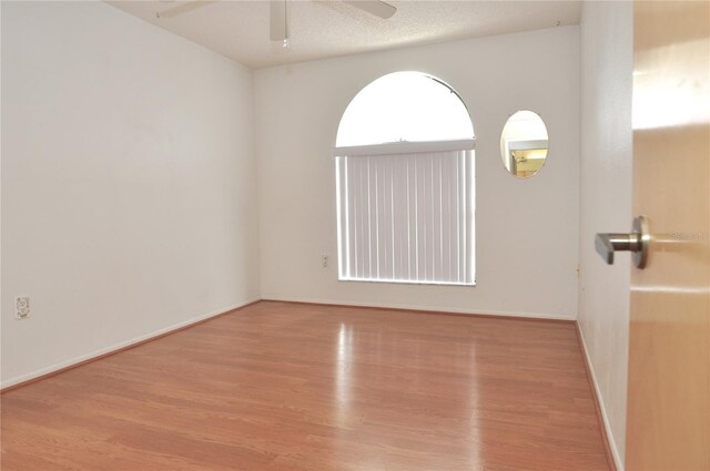 5530 Salem Square Dr N, Palm Harbor, FL 34685 - photo 25