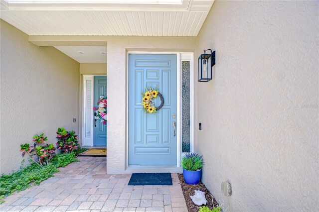 1411 Tessano Pl, Palm Harbor, FL 34683 - entrance to property featuring stucco siding