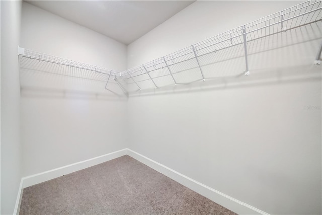 16433 66th Ln E, Parrish, FL 34219 - spacious closet with carpet floors