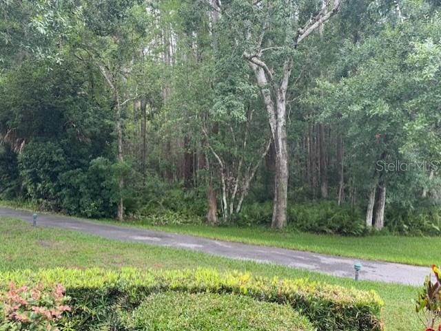 1258 Pine Ridge Cir W Unit F1, Tarpon Springs, FL 34688 - view of street with a forest view