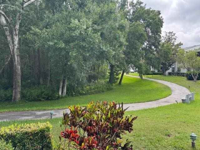 1258 Pine Ridge Cir W Unit F1, Tarpon Springs, FL 34688 - surrounding community featuring a yard