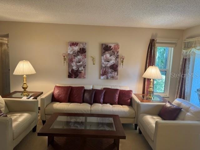 1258 Pine Ridge Cir W Unit F1, Tarpon Springs, FL 34688 - living room featuring a textured ceiling and carpet