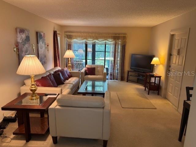 1258 Pine Ridge Cir W Unit F1, Tarpon Springs, FL 34688 - living area with carpet flooring and a textured ceiling