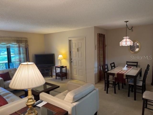 1258 Pine Ridge Cir W Unit F1, Tarpon Springs, FL 34688 - living room with a textured ceiling and light colored carpet