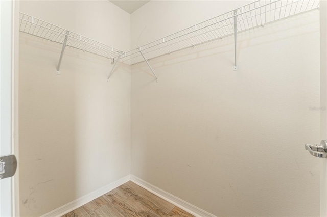 9140 Hillcroft Dr, Riverview, FL 33578 - spacious closet featuring light wood finished floors