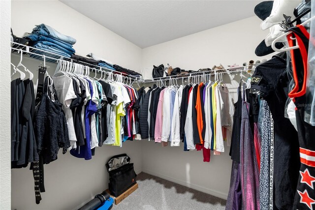 10452 Elgin Blvd, Spring Hill, FL 34608 - spacious closet featuring carpet flooring