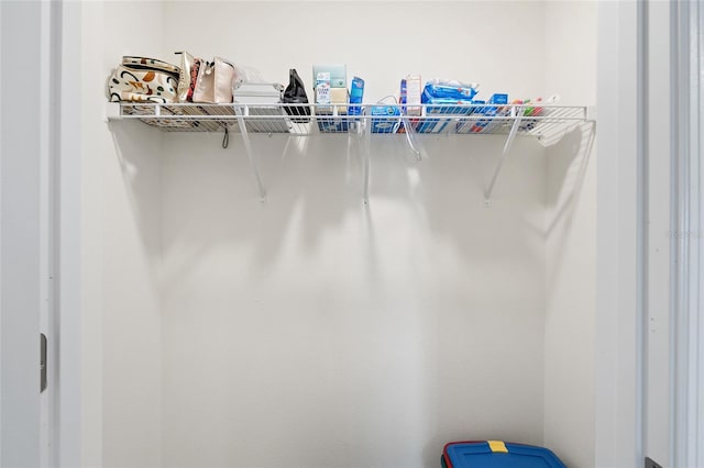 10452 Elgin Blvd, Spring Hill, FL 34608 - view of spacious closet