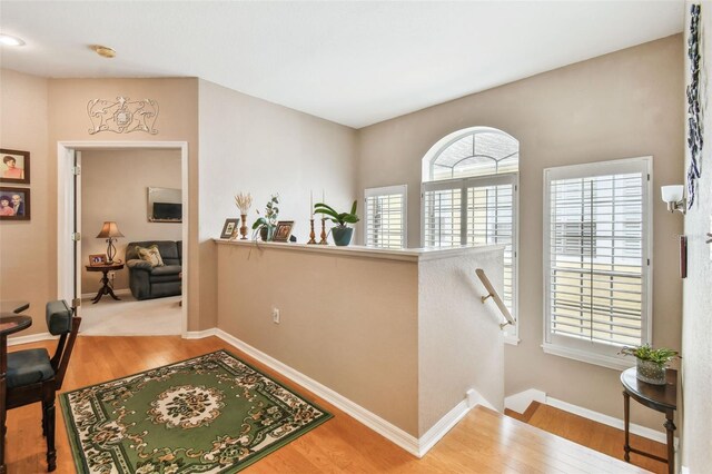 3484 Primrose Way, Palm Harbor, FL 34683 - hall featuring an upstairs landing and wood finished floors