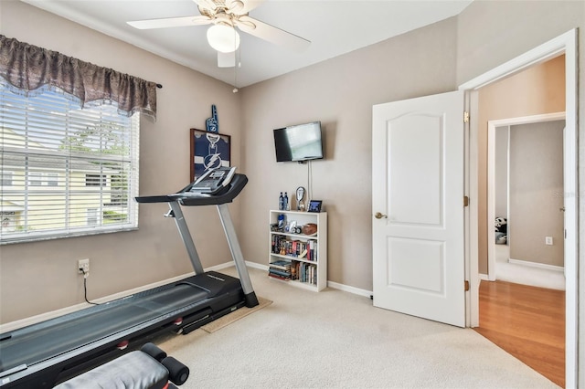 3484 Primrose Way, Palm Harbor, FL 34683 - workout area featuring a ceiling fan and carpet flooring