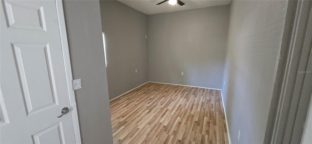 2910 15th Ave S, Saint Petersburg, FL 33712 - photo 9