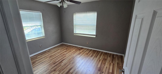 2910 15th Ave S, Saint Petersburg, FL 33712 - photo 11